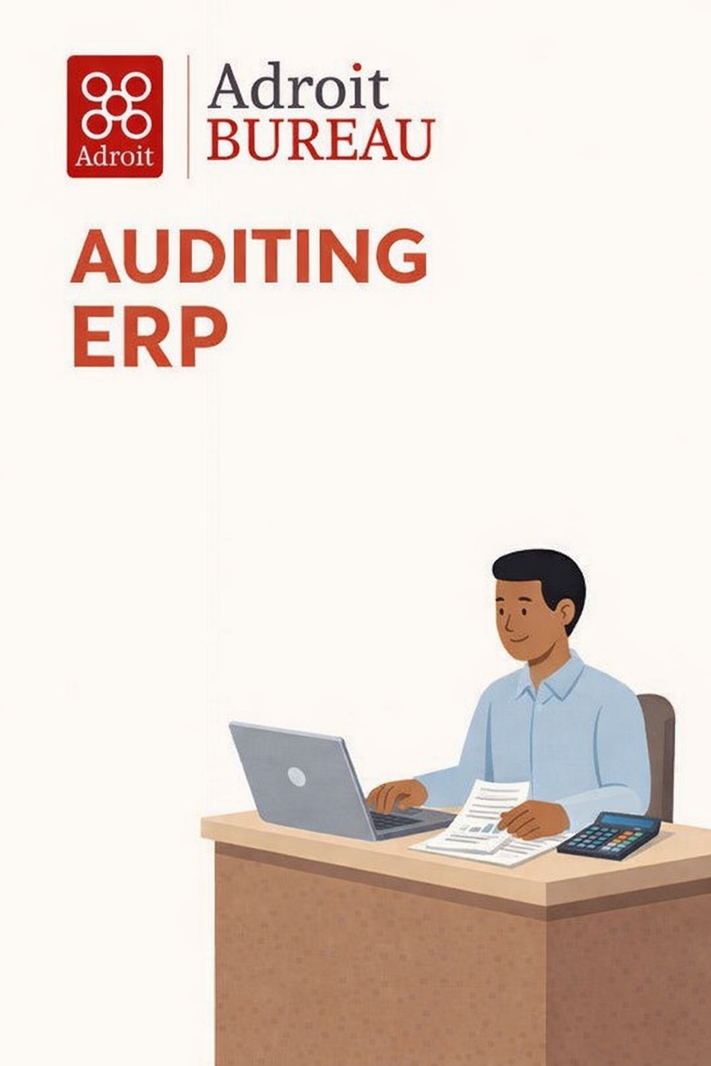 Auditing ERP