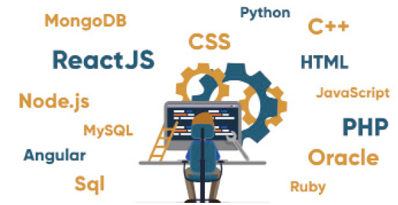 How to be a Web Developer Infographic